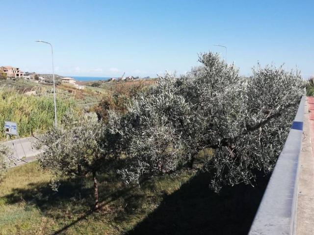 Terreno in vendita di 1000 m² in Viale Giovanni XXIII