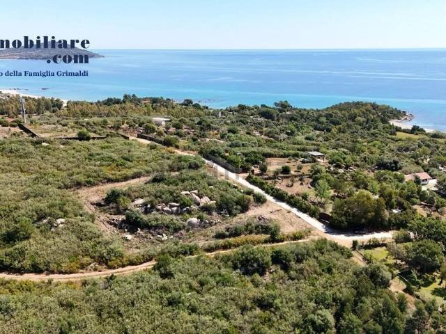 Terreno in vendita di 1000 m²