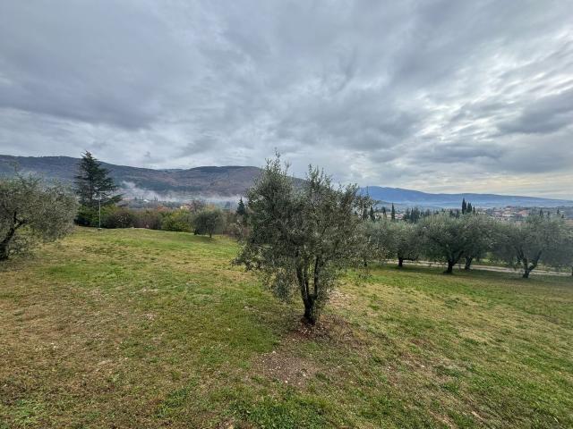 Terreno in vendita di 1000 m²
