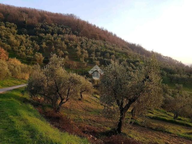 Terreno in vendita di 10022 m² in Via Poggio alla Guardia
