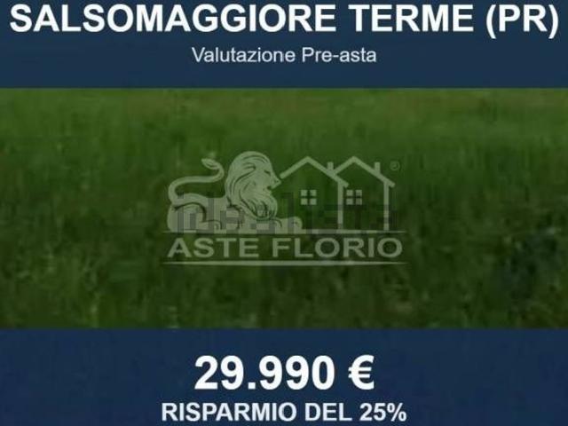 Terreno in vendita di 10024 m² in Strada Provinciale 109