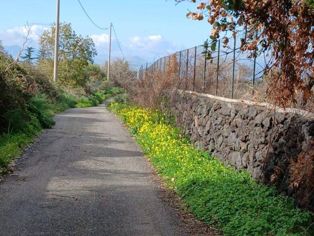 Terreno in vendita di 10040 m² in Via Cairoli