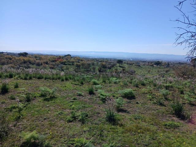 Terreno in vendita di 10045 m² in Via Cairoli