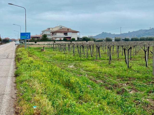 Terreno in vendita di 10080 m² in Contrada Cerreto