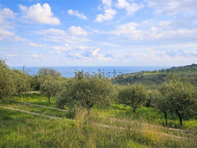 Terreno in vendita di 100 m²