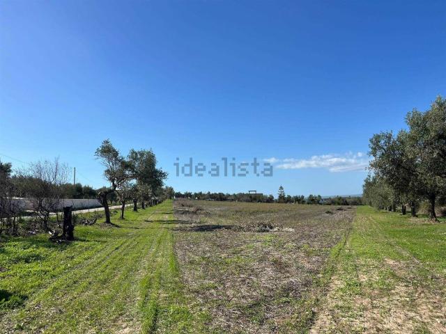 Terreno in vendita di 10120 m² in Vicolo Burgio