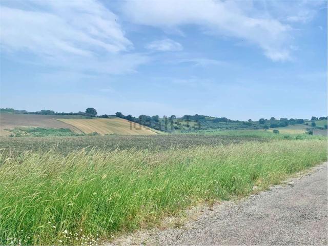 Terreno in vendita di 10140 m²