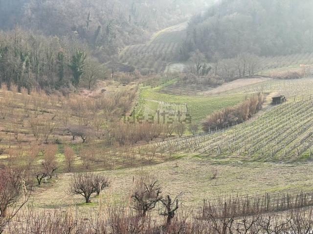 Terreno in vendita di 10147 m²
