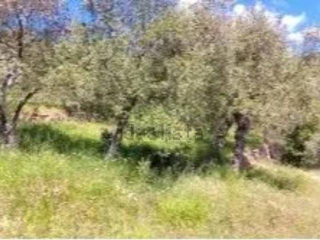 Terreno in vendita di 10150 m² in Strada Provinciale 45
