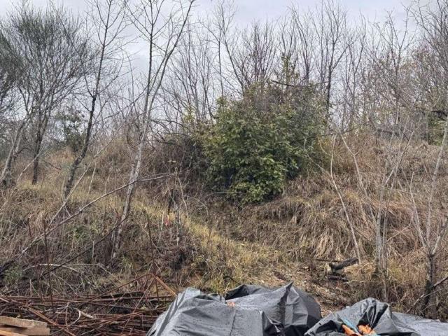 Terreno in vendita di 10200 m² in Contrada Casalena
