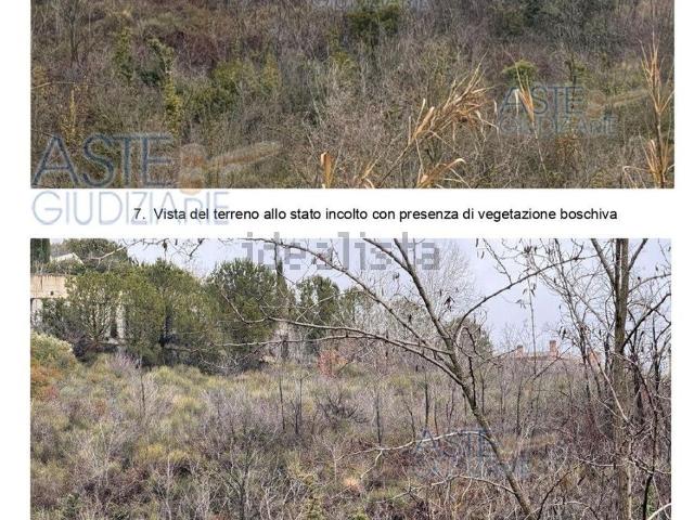 Terreno in vendita di 10200 m² in Contrada Casalena