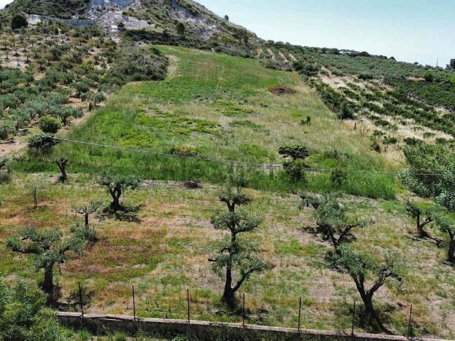 Terreno in vendita di 10210 m²