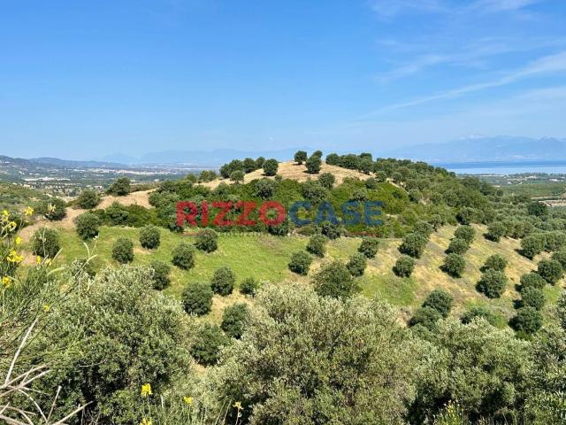 Terreno in vendita di 102312 m² in Contrada Scolaretto