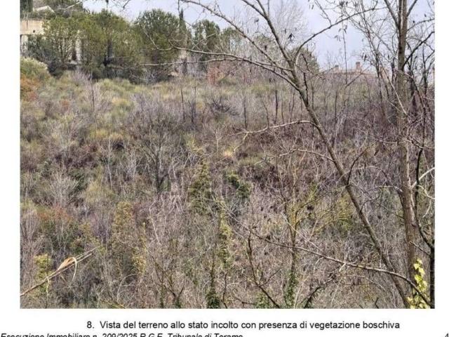 Terreno in vendita di 10244 m² in Contrada Colle Santa Maria