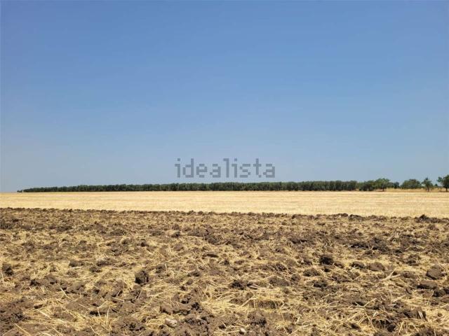 Terreno in vendita di 102500 m² in Strada Provinciale 95