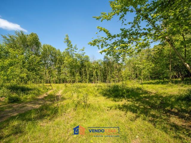 Terreno in vendita di 10300 m² in Via Pelagallo