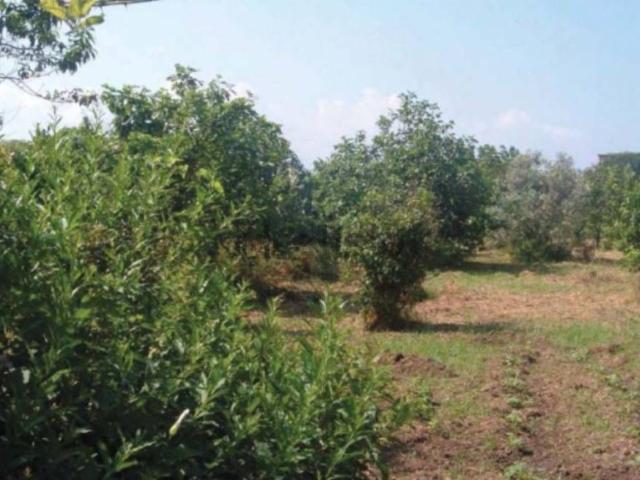 Terreno in vendita di 10 m² in Piazza Ardito Pietro