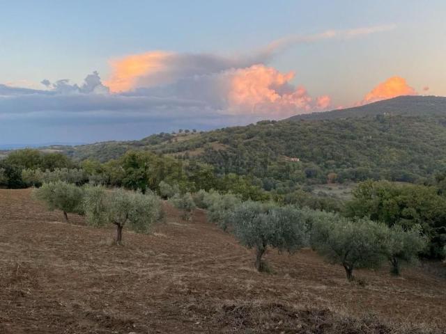 Terreno in vendita di 103300 m² in Località Zufolaio