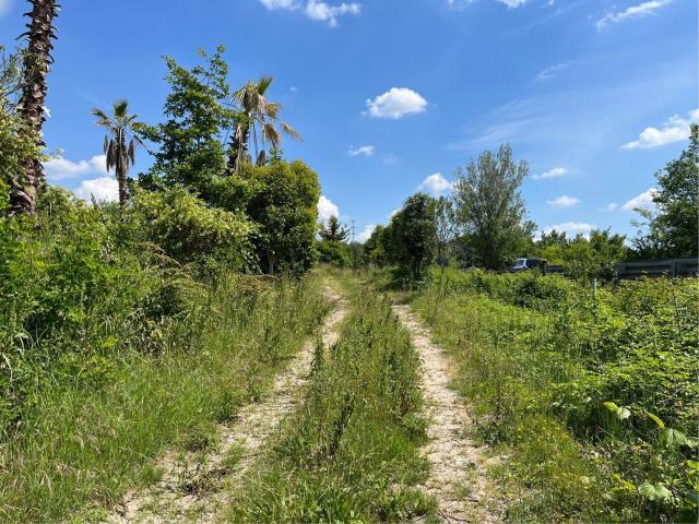Terreno in vendita di 11400 m² in Via mantovana