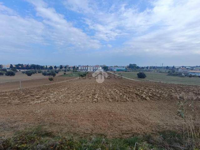 Terreno in vendita di 11450 m² in Via Piemonte