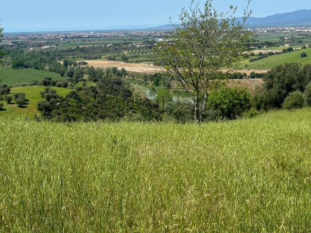 Terreno in vendita di 114 m² in Strada Provinciale Sante Mariae
