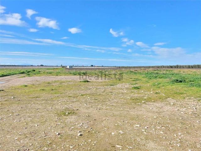 Terreno in vendita di 115000 m² in Strada Statale 16 Adriatica