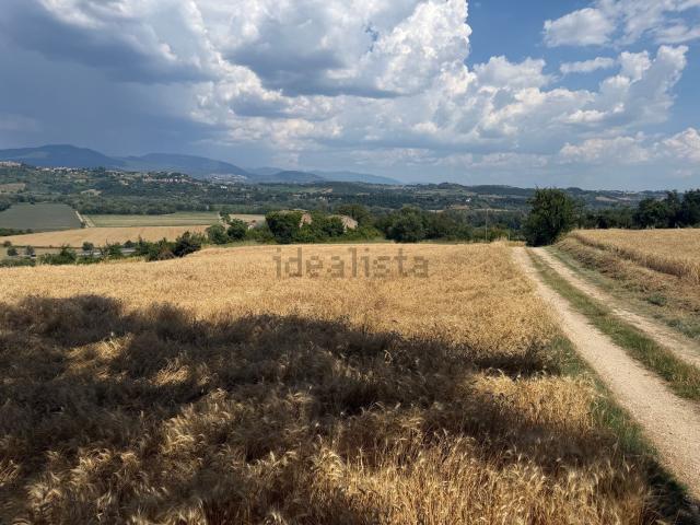 Terreno in vendita di 1154935 m² in Località baucche