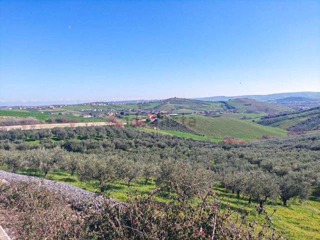 Terreno in vendita di 11560 m² in Via Cotti