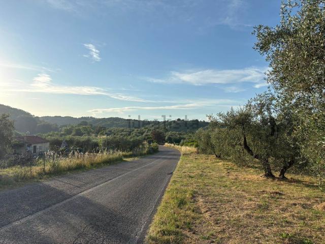 Terreno in vendita di 11570 m²