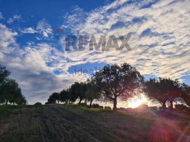 Terreno in vendita di 11600 m²