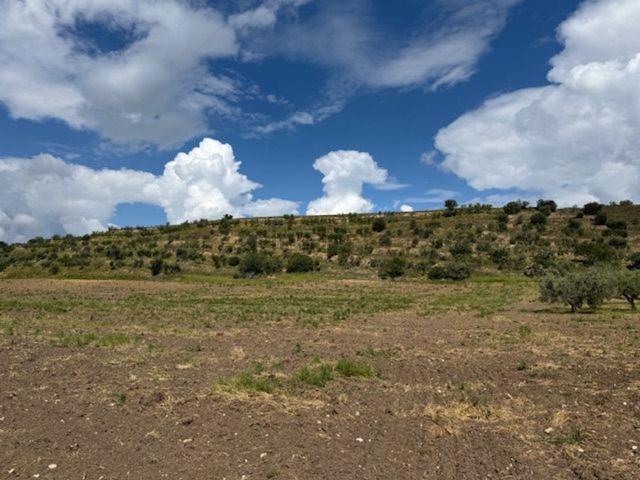 Terreno in vendita di 116268 m² in Strada Masseria ponte albanito, 22