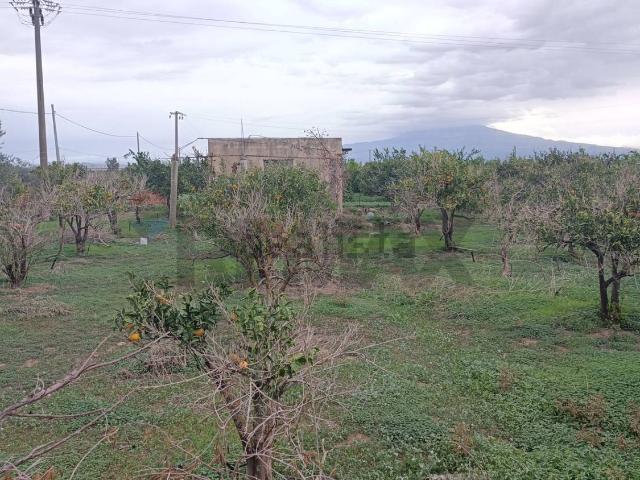 Terreno in vendita di 11650 m² in Contrada Davara