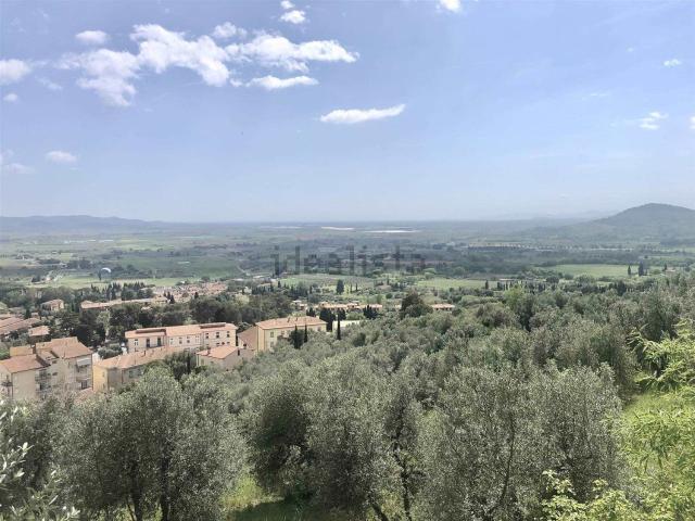 Terreno in vendita di 11755 m²
