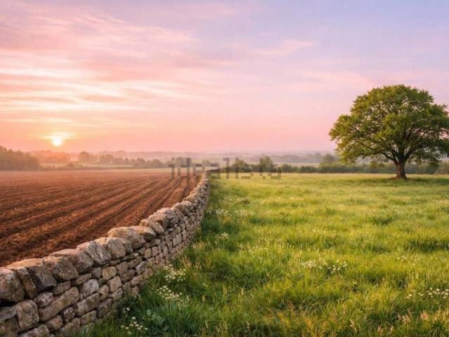 Terreno in vendita di 117560 m² in Strada Senza Nome