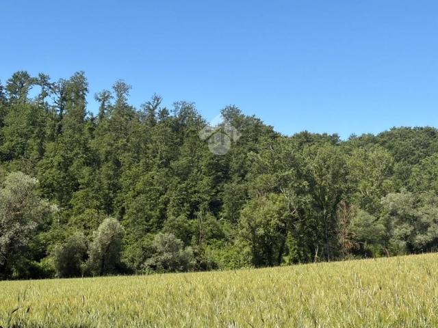 Terreno in vendita di 11790 m² in Via Casa Ostino