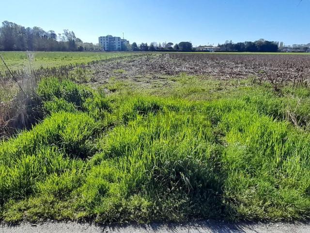 Terreno in vendita di 11815 m² in Via Sant&apos Osvaldo