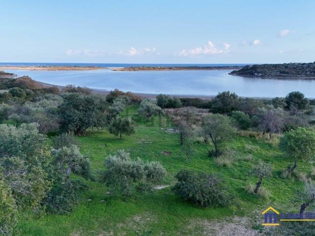 Terreno in vendita di 11835 m² in Strada Provinciale 19