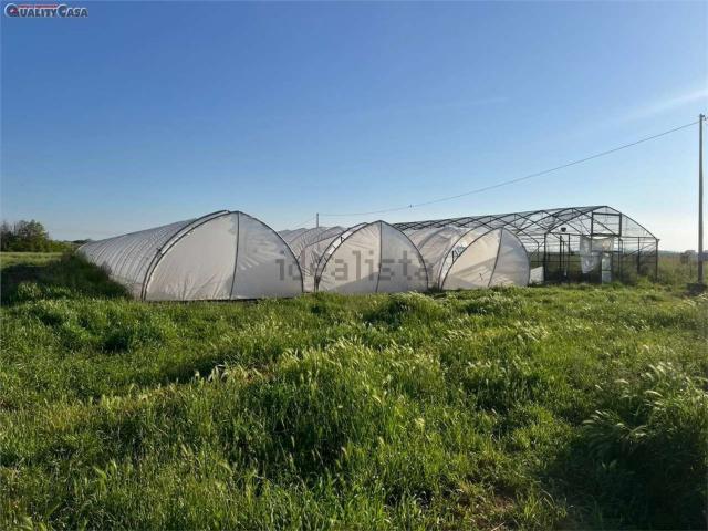 Terreno in vendita di 11866 m² in Via Fossatello