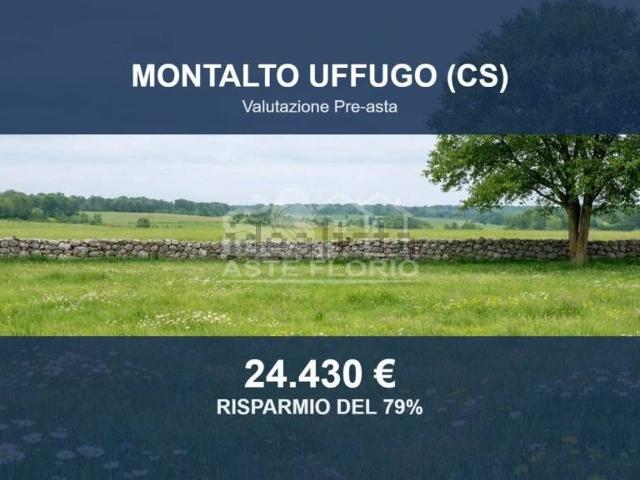 Terreno in vendita di 11890 m² in Via Giuseppe Verdi