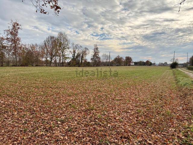 Terreno in vendita di 11897 m² in Via Roara