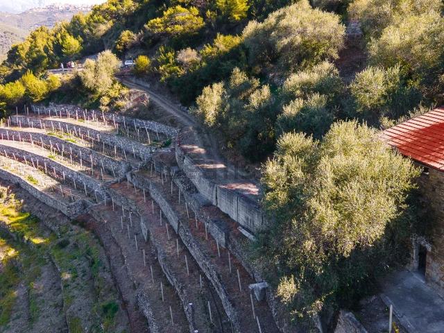 Terreno in vendita di 11917 m² in Strada Oria, 38