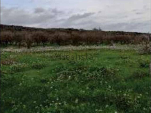 Terreno in vendita di 120 m² in Strada Statale 385