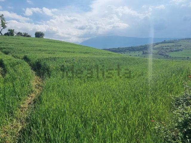 Terreno in vendita di 110000 m² in Contrada Colle Cese