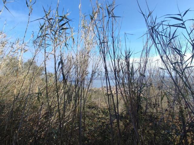 Terreno in vendita di 11000 m²