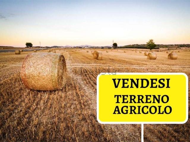 Terreno in vendita di 11000 m²