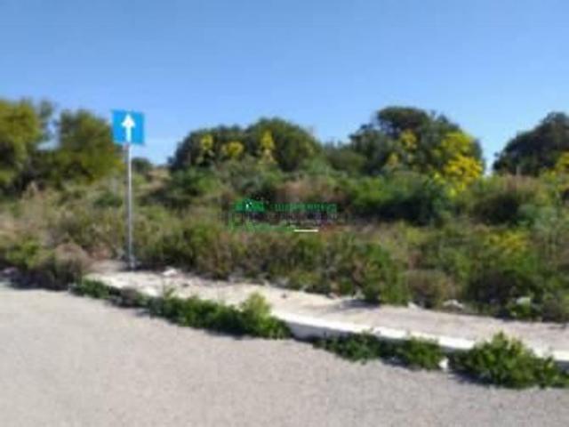 Terreno in vendita di 11000 m²