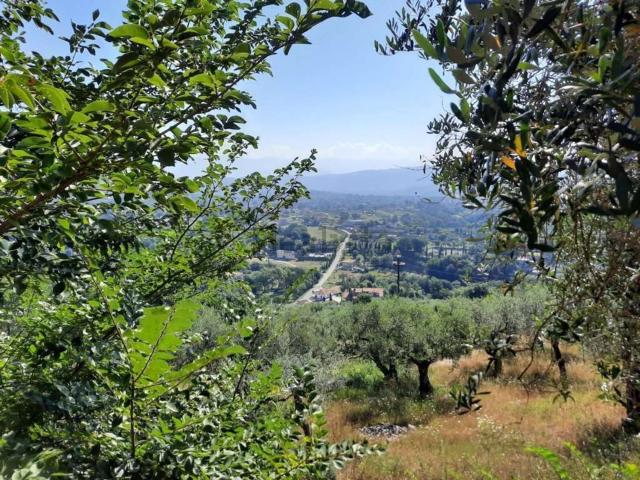 Terreno in vendita di 11000 m²