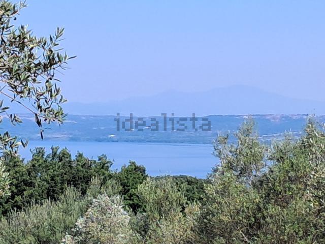 Terreno in vendita di 11000 m² in Via Notazie