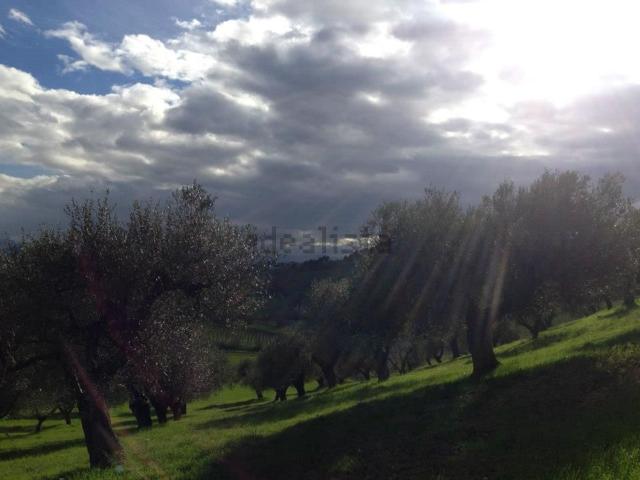 Terreno in vendita di 11000 m² in Via Sangro