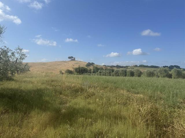 Terreno in vendita di 11000 m² in Via Vicinale Steccaia